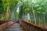 Fototapeta Sypialnia - Bamboo Grove in Kyoto Japan