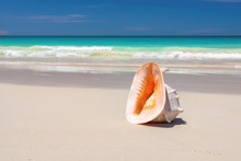 Seashell On The Sand And Wave On The Beach Anse Lazio Beach, Seychelles