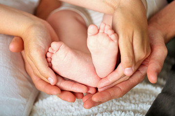 Canvas Print - Adult hands holding baby feet, closeup