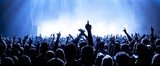 Fototapeta  - cheering crowd at a rock concert