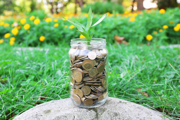 Sticker - Plant growing in coins outside