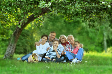 Poster - Family resting in  summer park