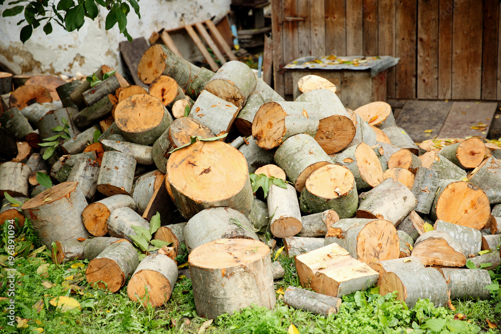 Logs of fire wood