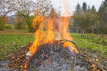Smoke And Fire From During Burning Of Garden Waste