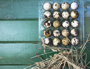 Quail eggs in a transparent plastic container on wooden backgrou