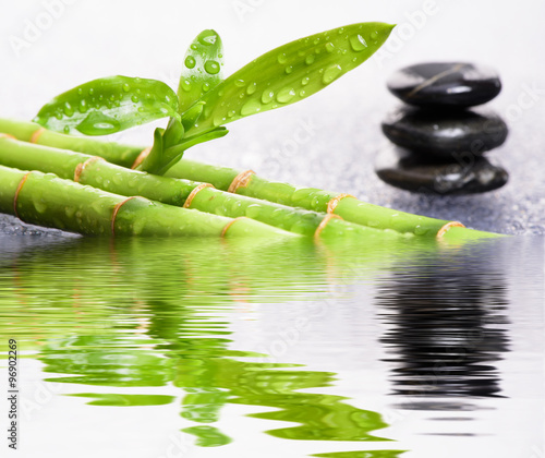 Fototapeta na wymiar Japanischer ZEN Garten mit Wasserspiegelung