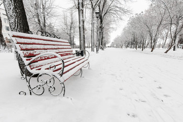 red bench in the winter park Russia