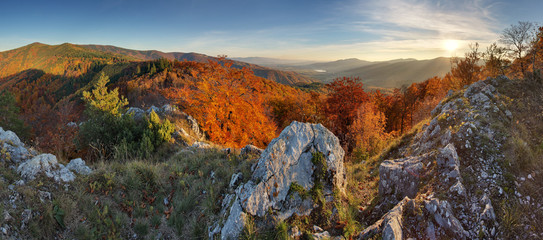 Wall Mural - autumn forest mountain panorama