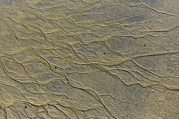 Wet sand ripples pattern