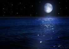 Moon In The Night Sky