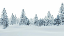Daytime Winter Scenery With Snow-covered Spruce Forest On A White Background
