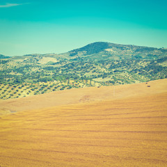 Canvas Print - Sloping Hills