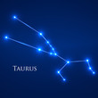 Constellation Taurus Zodiac Sign. Vector Illustration. Eps 10