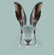 Illustrated Portrait of Hare. 