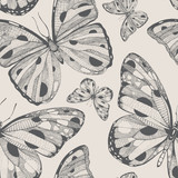 Fototapeta  - hand drawn vector seamless pattern with butterflies