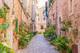 Fototapeta Na drzwi - View of an idyllic village alleyway at Spain 