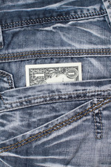 Wall Mural - one dollar cash in jeans pocket