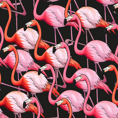 Wall Mural - Colorful flamingo seamless background