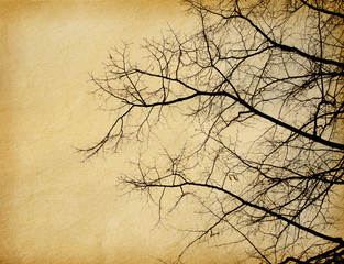 Sticker - vintage  paper textures.  tree without leaves