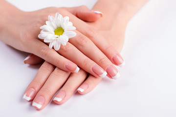 Fotomurales - Beautiful gentle manicure.