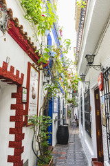 Wall Mural - traditional Andalusian streets with flowers and white houses in