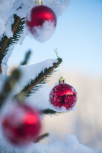 Christmas Balls On Tree