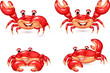 Cartoon happy crab collection set