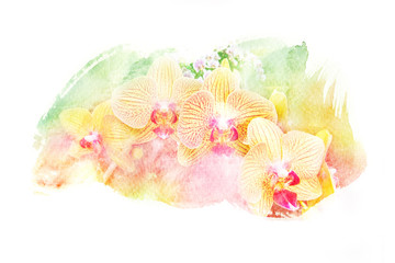 Flower watercolor illustration.