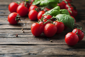 Fresh sweet tomato and green basil on the vintage table