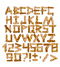 3d Alphabet In Style Of A Safari