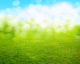 Fototapeta Perspektywa 3d - grass background