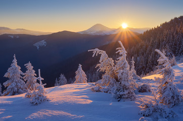 Wall Mural - Winter landscape at sunrise