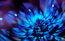 Abstract Fractal Background With Blue Flower On Dark Background