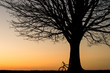 Silhouette of a bike leaning against winter tree at sunset
