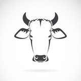 Fototapeta Miasto - Vector image of an cow head on white background