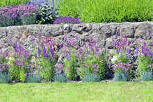 Cottage Stone Wall With Vibrant Bright Flowers In Bloom In Front Of Green Grass