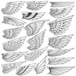 Big Set sketches of wings