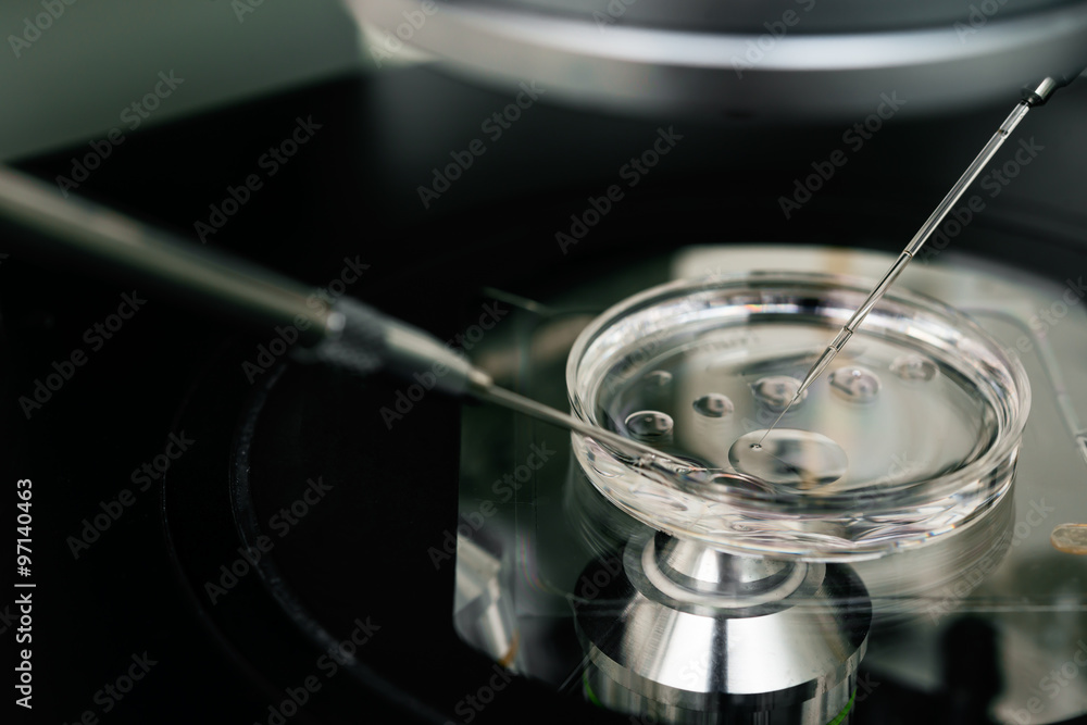 microscope for in vitro fertilization process close up. . Equipment on laboratory of Fertilization, IVF.