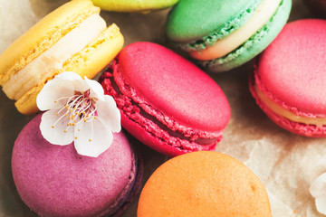 Macarons lying on piece of parchment