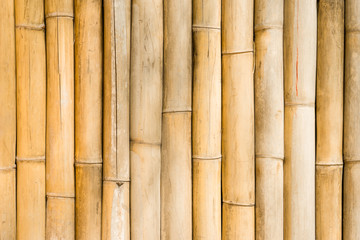  Bamboo texture background