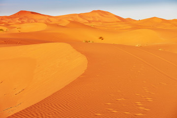  Sand dunes in the Sahara Desert