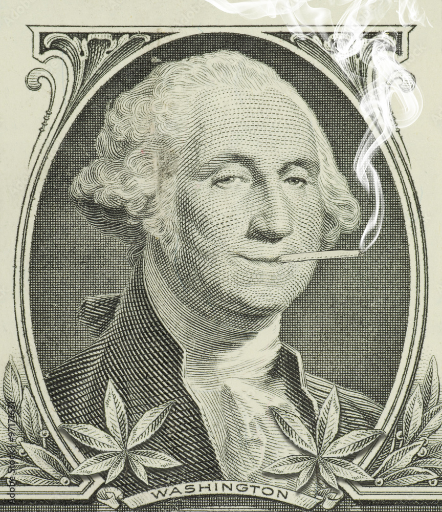 George Washington smoking a joint with pot leaves along the bottom representing decriminalization and legalization of marijuana in the United States - obrazy, fototapety, plakaty 