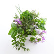 Herbs in a bowl isolated
