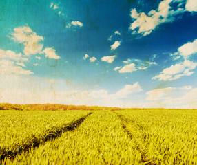 Wall Mural - green field under blue sky with white clouds