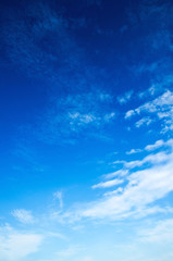 Wall Mural - blue sky background with tiny clouds