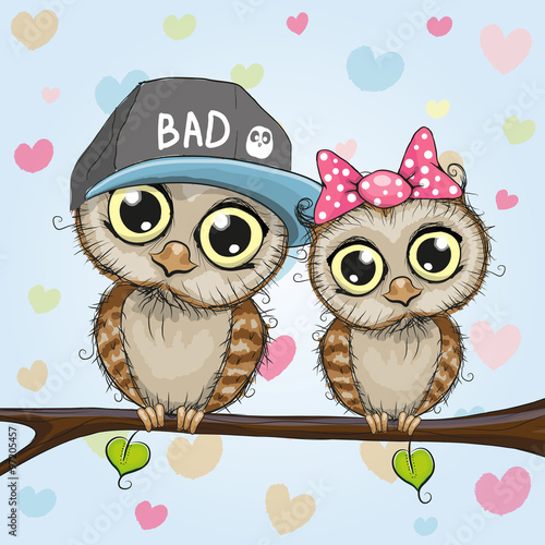 Fototapeta na wymiar Two Cute Owls
