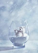 Polar Bear Snow Globe Free Stock Photo - Public Domain Pictures