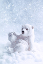 Polar Bear Figure