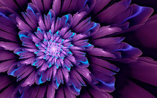 Abstract Fractal Background, Glossy Violet-cyan Flower