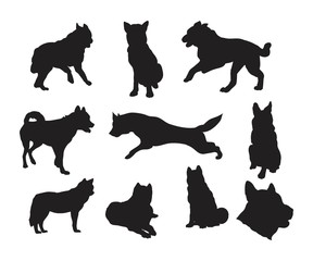 Wall Mural - silhouette husky dog pack